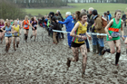 Girls under-15s 2018 British Inter Counties Cross Country Champs., Prestwold Hall, Loughborough. Photo: David T. Hewitson/Sports for All Pics